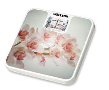 WELLTON WS-101F