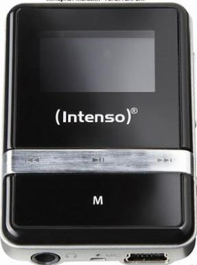 PLEER MP3 PORTATIVNYIY