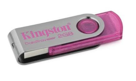 KINGSTON 2GB DT101N/2GB розовый (5)